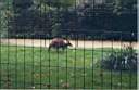 15-walibi.jpg